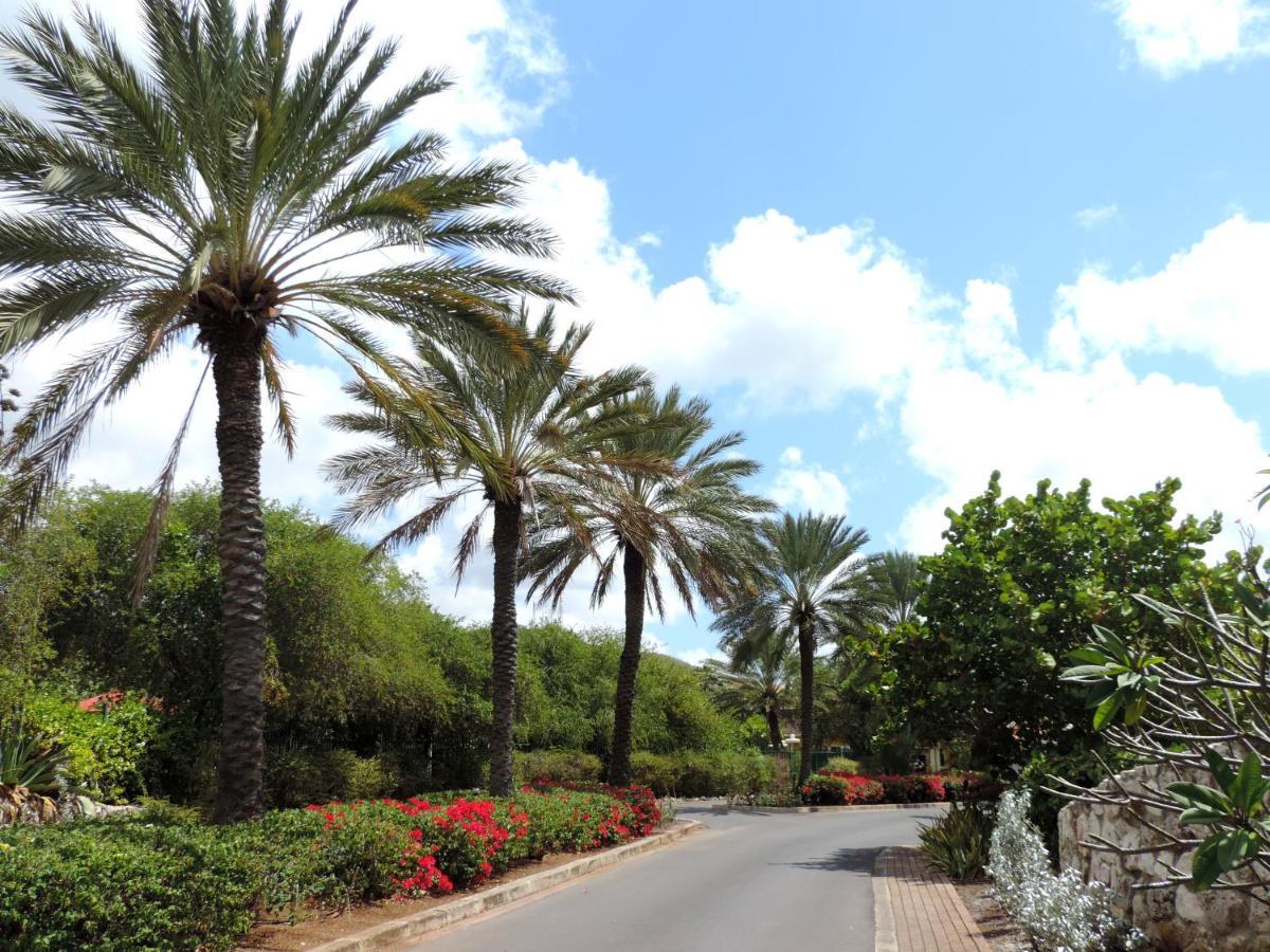 Piscadera Bay Resort 24 Willemstad Bagian luar foto